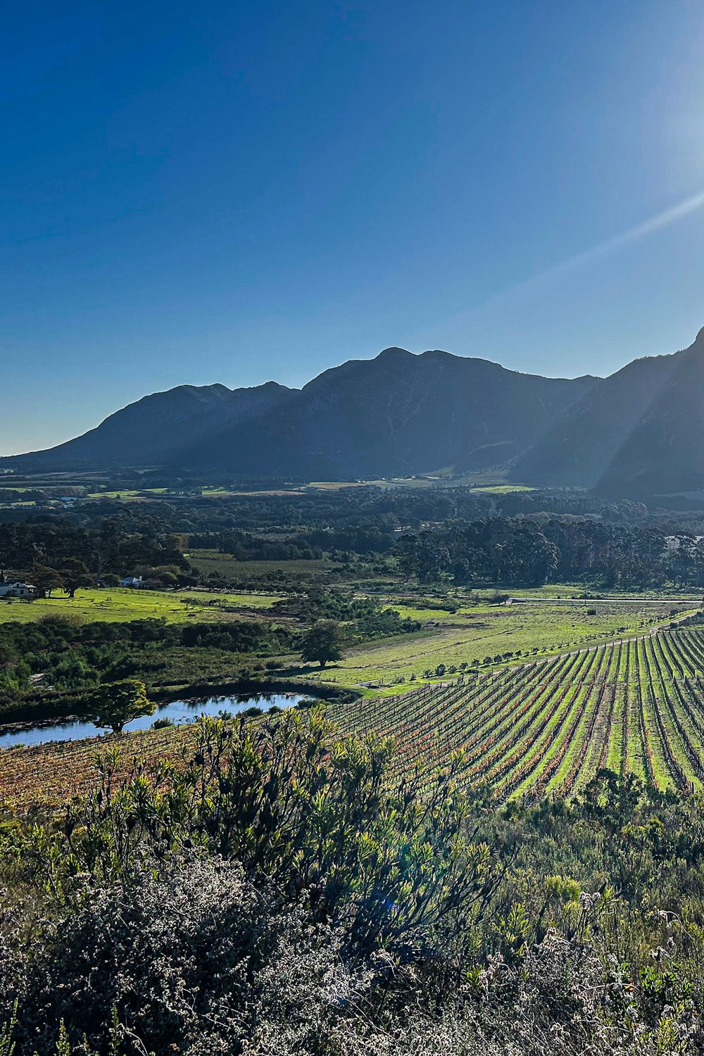 Spookfontein Wine Farm Hermanus Western Cape South Africa winery review