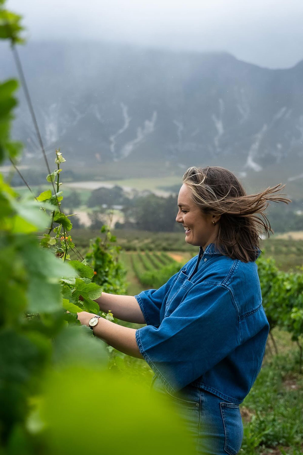 Spookfontein Wine Farm Hermanus Western Cape South Africa winery review