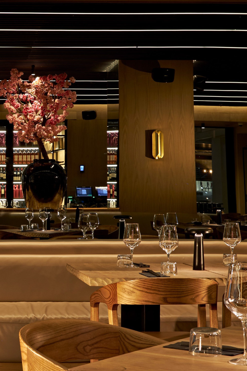 Tang Cape Town Western Cape South Africa restaurant review