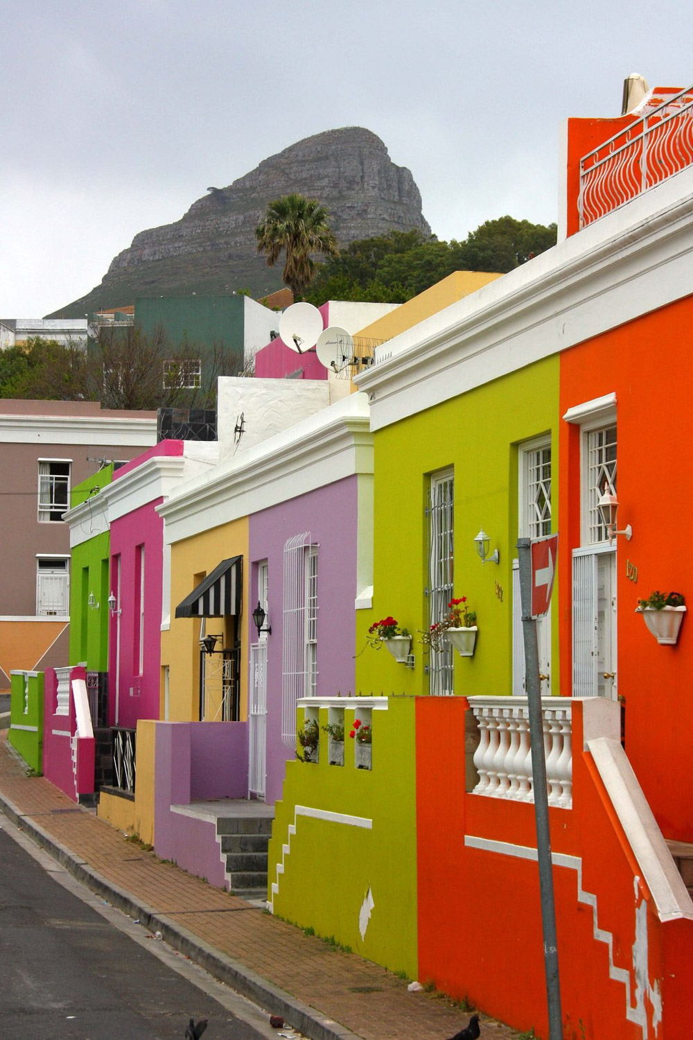 Bo Kaap Cooking Tour Cape Town Western Cape South Africa activity review