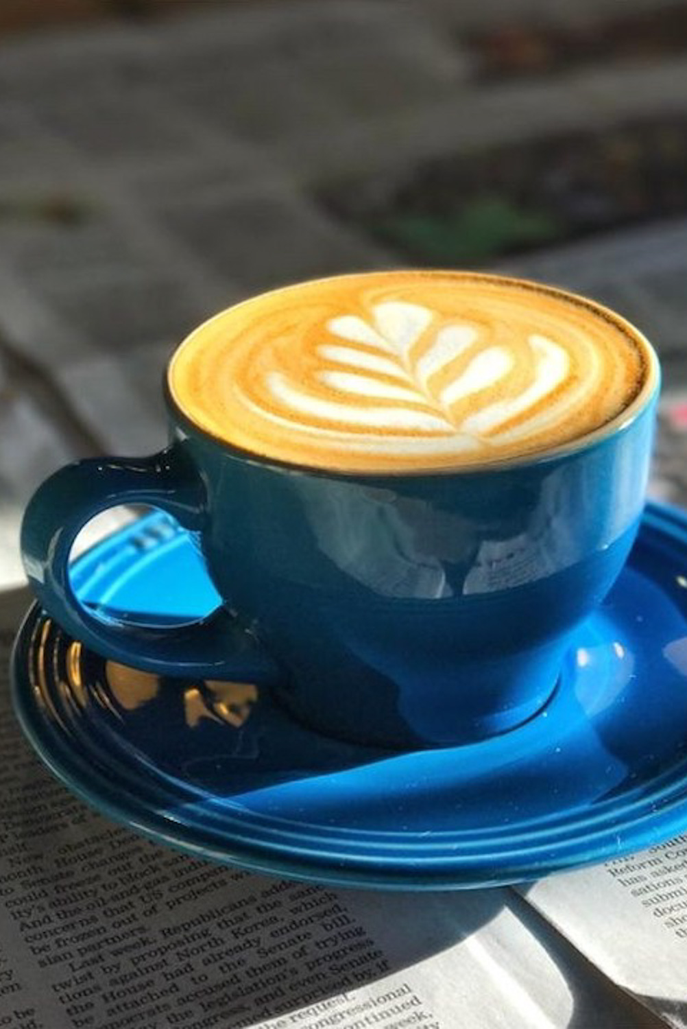 Blue Door Coffee Roastery Cape Town Western Cape South Africa restaurant review