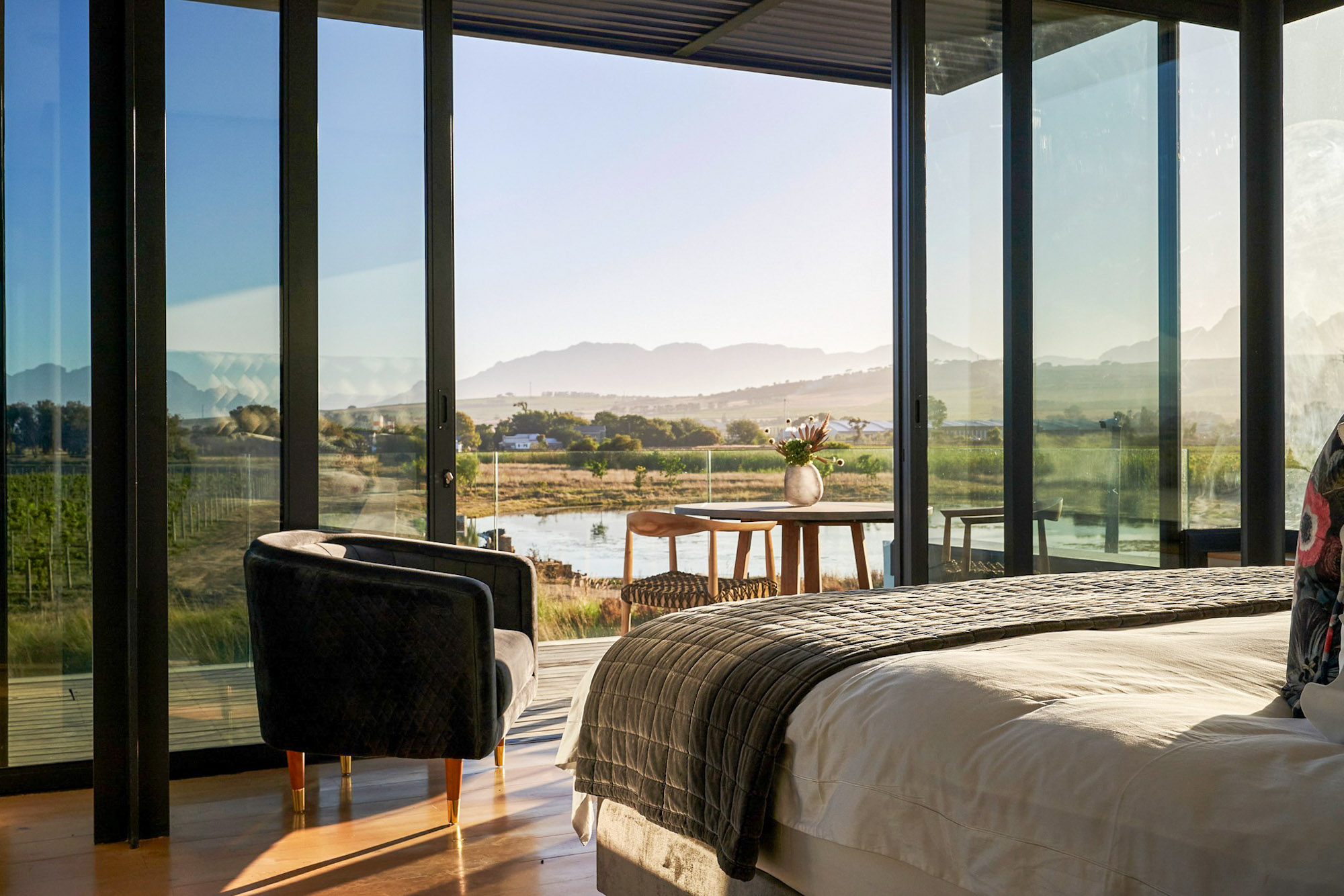 Vergenoegd Low Wine Estate Cape Town Western Cape South Africa hotel review