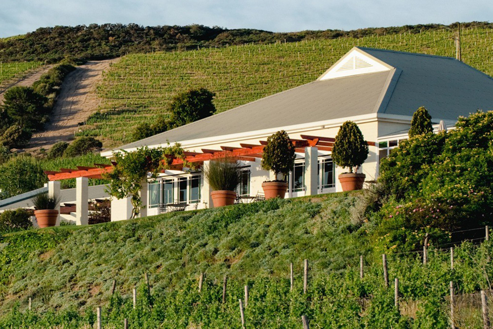 Zevenwacht Wine Estate Cape Town Western Cape South Africa hotel review