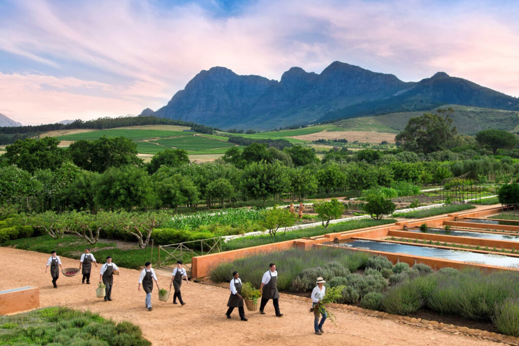 Babylonstoren Franschhoek Western Cape South Africa farm review