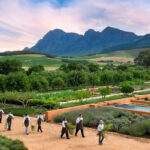 Babylonstoren Franschhoek Western Cape South Africa farm review