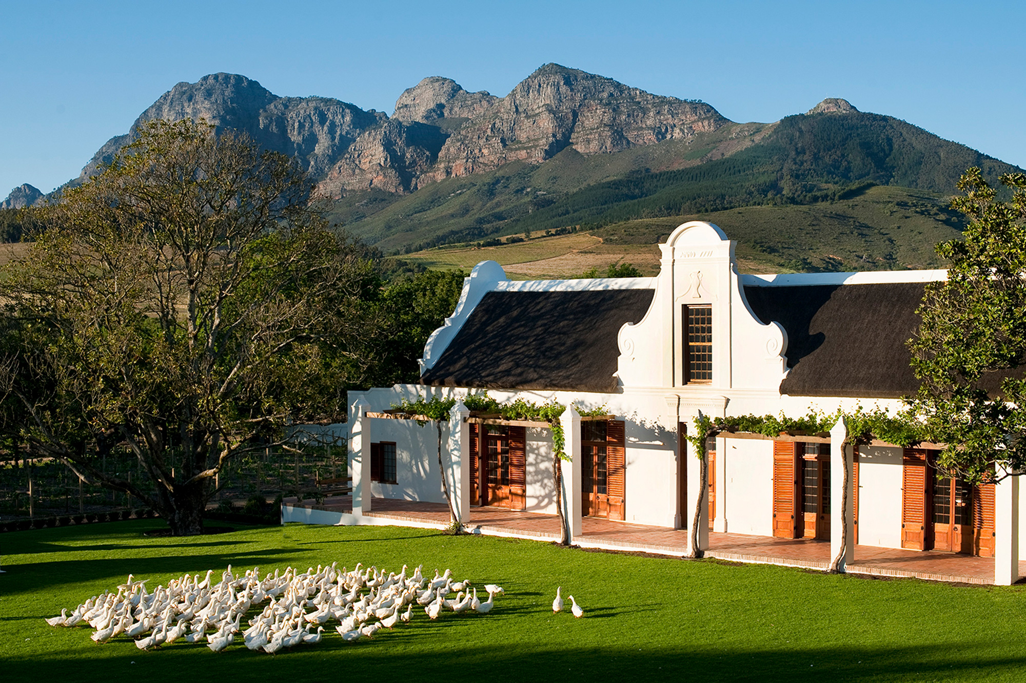 Babylonstoren Franschhoek Western Cape South Africa farm review