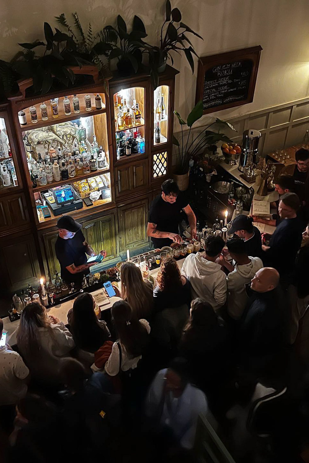 The Gin Bar Cape Town Western Cape South Africa bar review