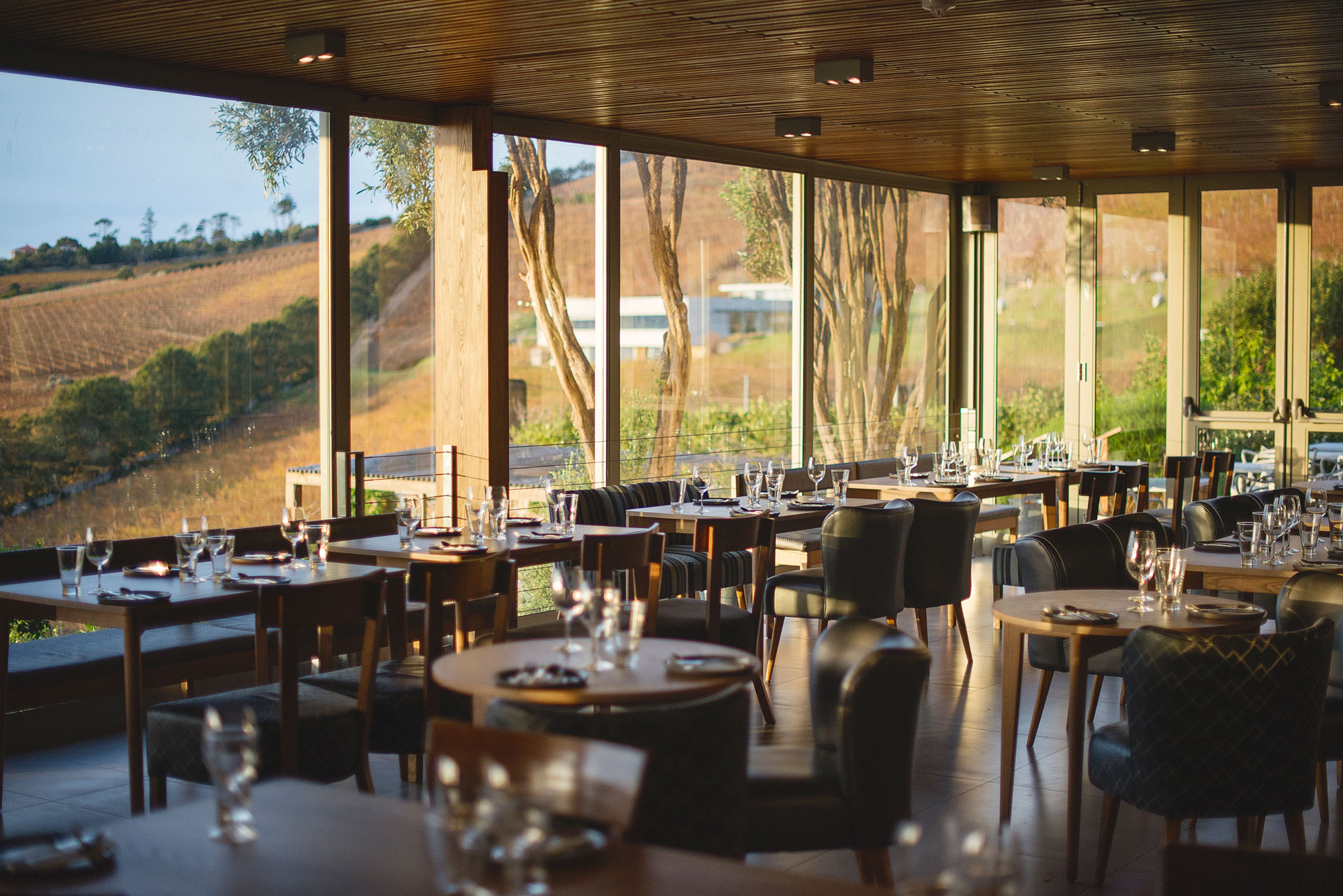 Chefs Warehouse at Beau Constantia Western Cape South Africa restaurant review