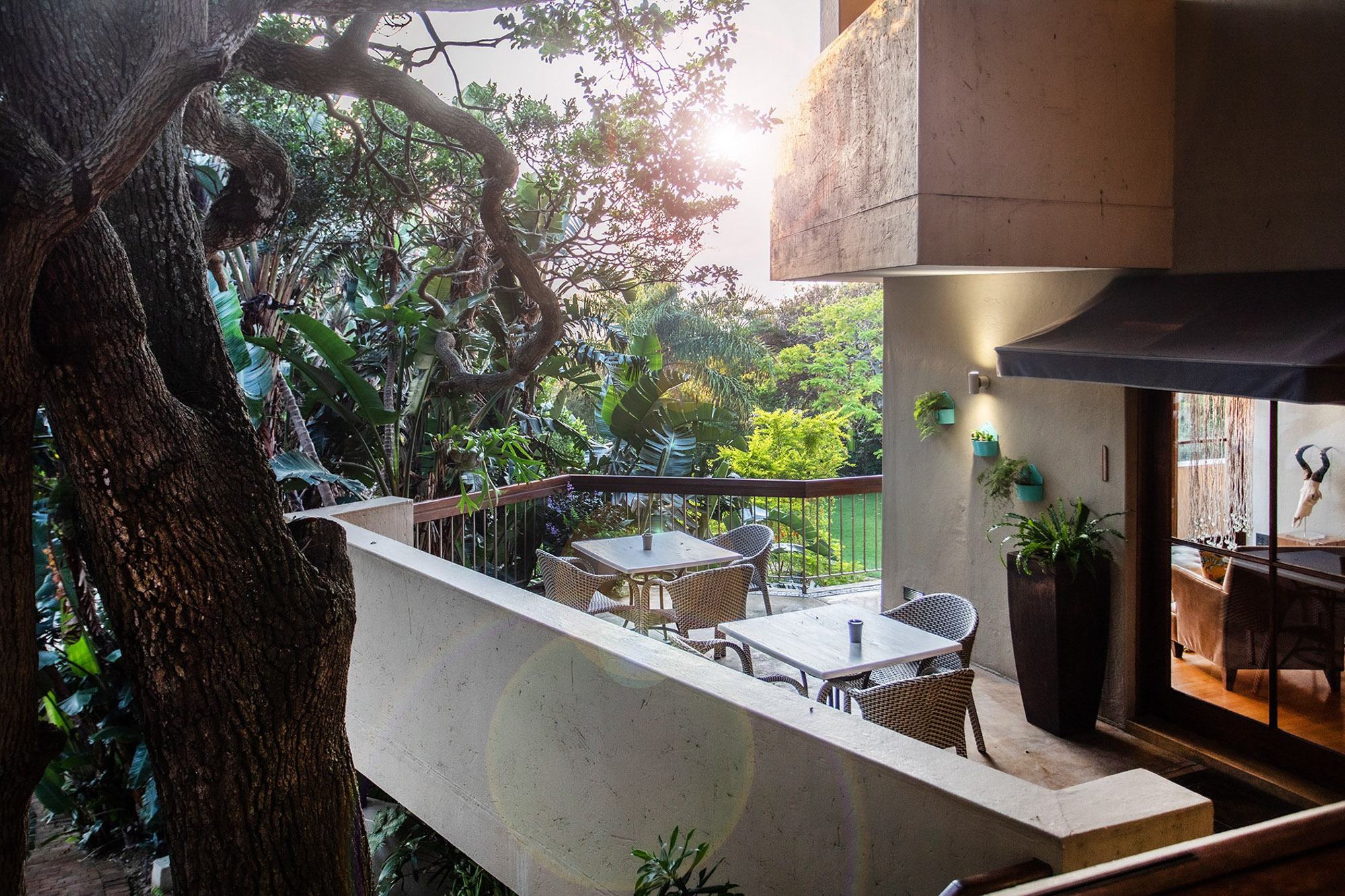 Teremo Lodge & Spa Durban KwaZulu-Natal South Africa hotel review