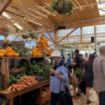 Oranjezicht City Farm Market Cape Town Western Cape South Africa