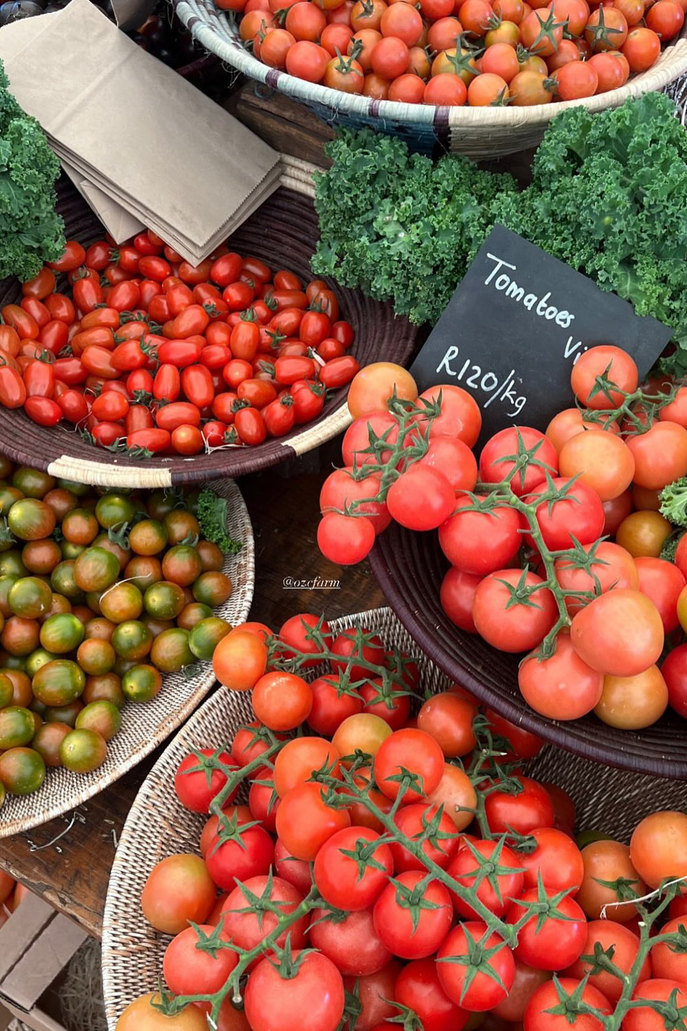 Oranjezicht City Farm Market Cape Town Western Cape South Africa