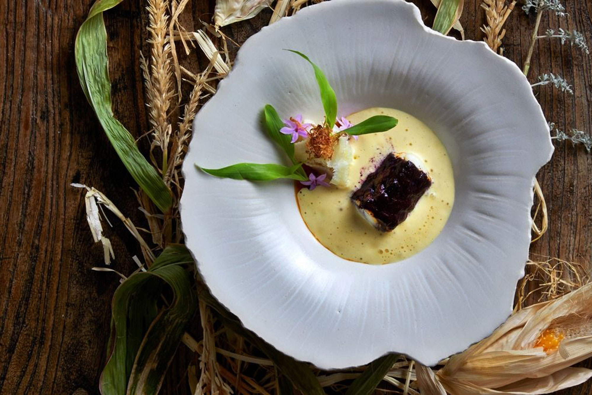 Terrarium Cape Town Western Cape South Africa restaurant review