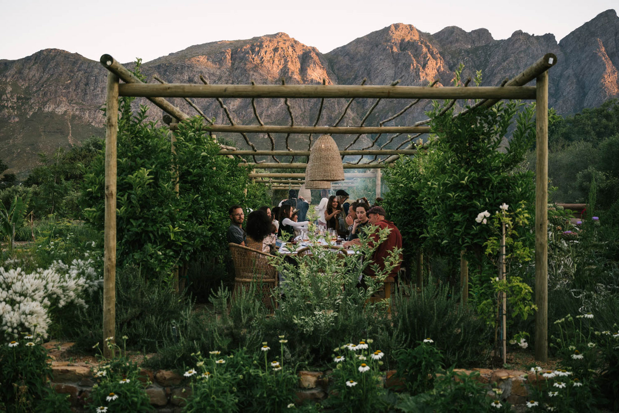 Sterrekopje Franschhoek Western Cape South Africa hotel review